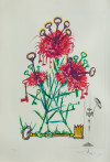 SALVADOR DALÍ Y DOMENECH, "Surrealistic Flowers", 1972, Pun