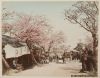 Lote de tres albumes de fotos, Japón, c.1900