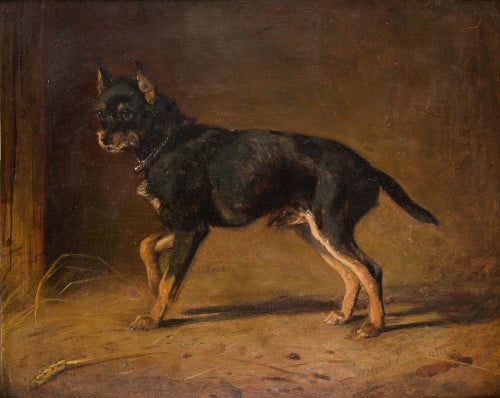 ALFRED CORBOULD Activo 1831, "Perro", Óleo sobre cartón