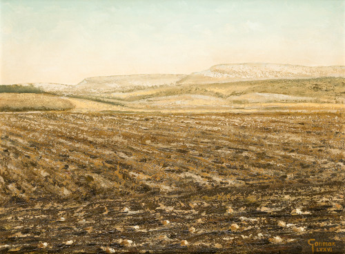 ANTONIO GONZÁLEZ MARTÍN "GONMAR", "Tierras en barbecho", 19