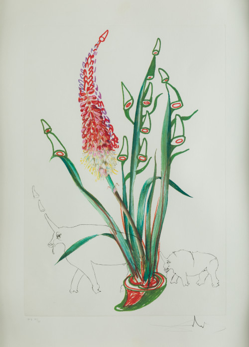 SALVADOR DALÍ Y DOMENECH, "Surrealistic Flowers", 1972, Pun