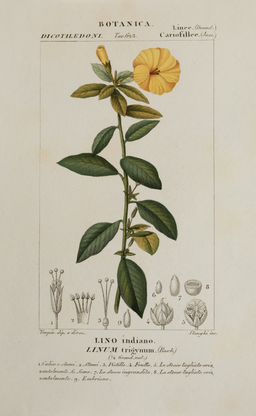 PIERRE JEAN FRANÇOIS TURPIN, "Flores", Tres grabados colore