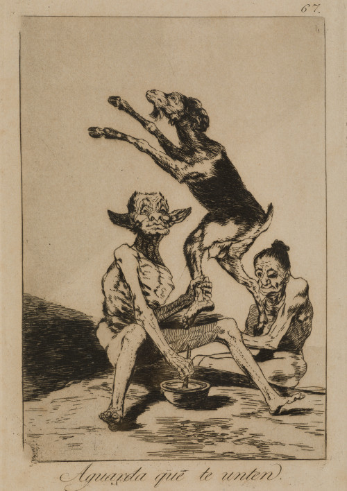 FRANCISCO DE GOYA Y LUCIENTES, "Aguarda que te unten", Agua