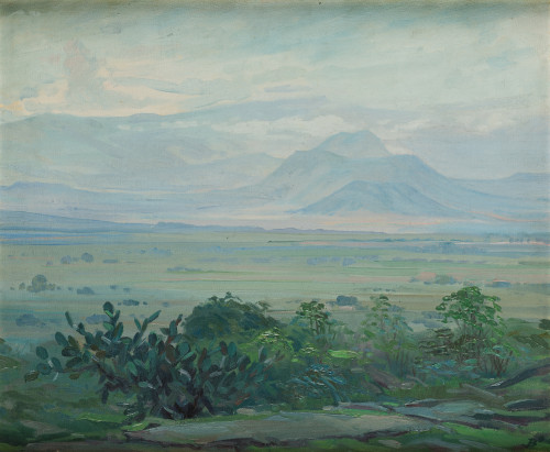 JOSÉ BARDASANO Y BAOS, "Paisaje de Méjico"