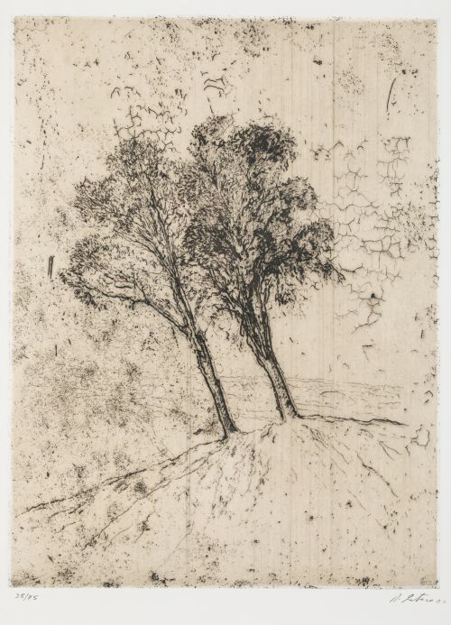 DANIEL QUINTERO Malaga (1949) "Trees", 2002