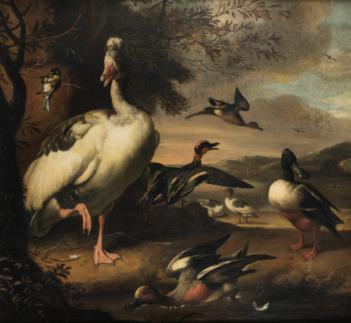 CÍRCULO DE MELCHOIR D´ HONDECOETER, "Ganso, patos y otras a