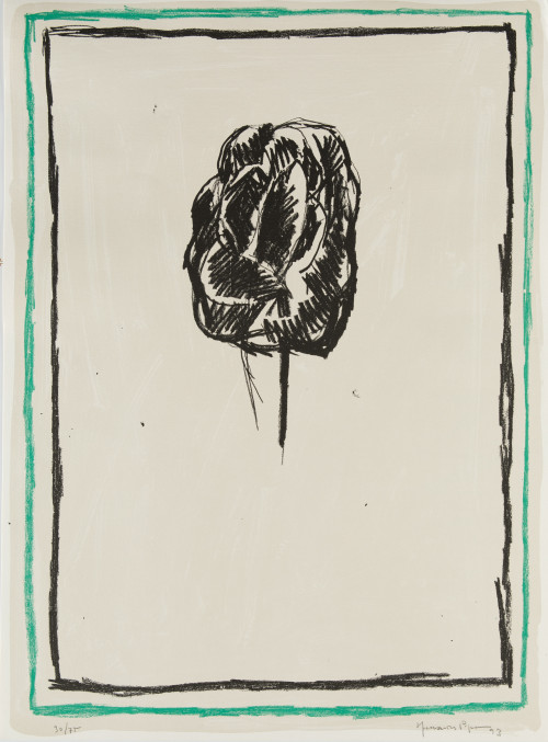 JOAN HERNÁNDEZ PIJUÁN, "Flor", 1993, Litografía sobre papel