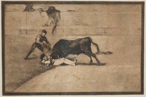 FRANCISCO DE GOYA Y LUCIENTES, FRANCISCO DE GOYA Y LUCIENTE