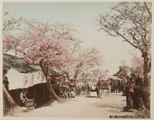 Lot of three photo albums, Japan, c.1900