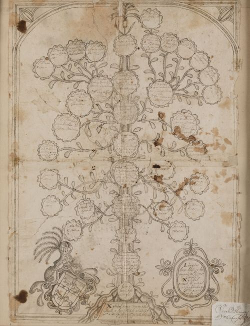 ANONYMOUS (16th century) "Family tree of Don Cristobal de O