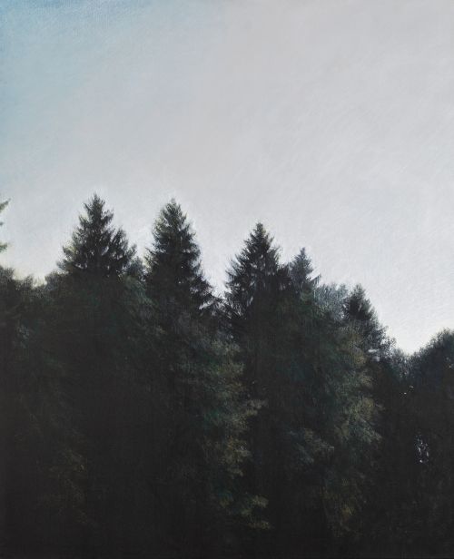 GABRIELA BETTINI, “Kuldiga (lago) II”, 2013, Cera y acrílic