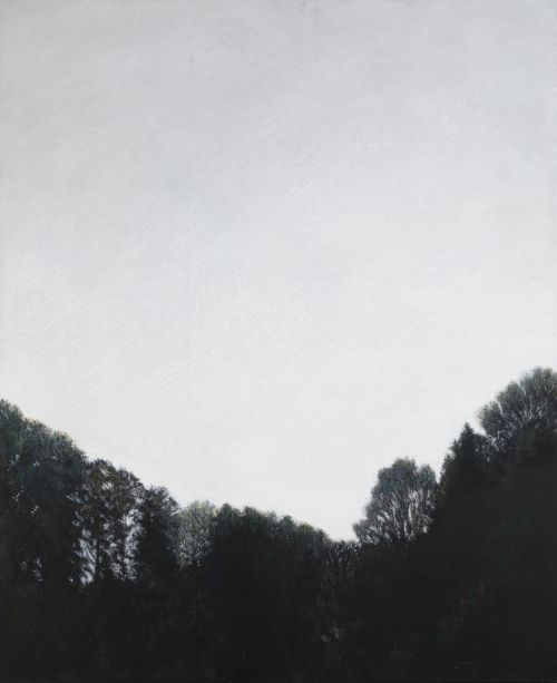 GABRIELA BETTINI, "Kuldiga (lago) I. Letonia", 2013, Cera y