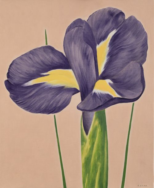 ANGÉLICA KAAK, "Iris", 2002, Óleo sobre lienzo