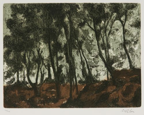 LUIS GARCÍA OCHOA, "Bosque", Auafuerte y aguatinta