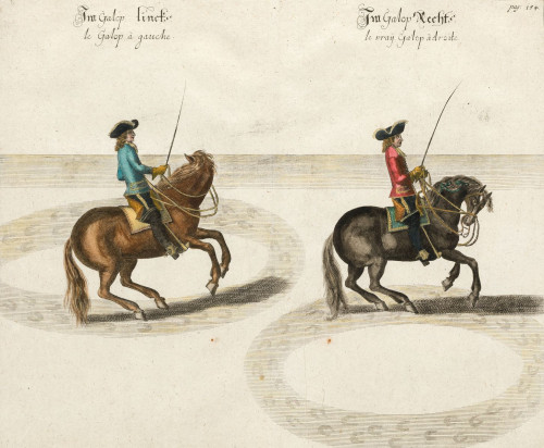 ABRAHAM VAN DIEPENBEECK, "Le Galop à Gauche", Nuremberg, 17